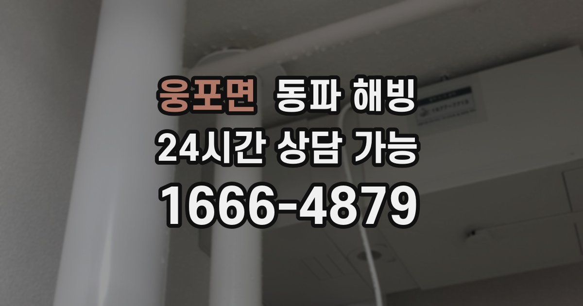 웅포면 동파 해빙