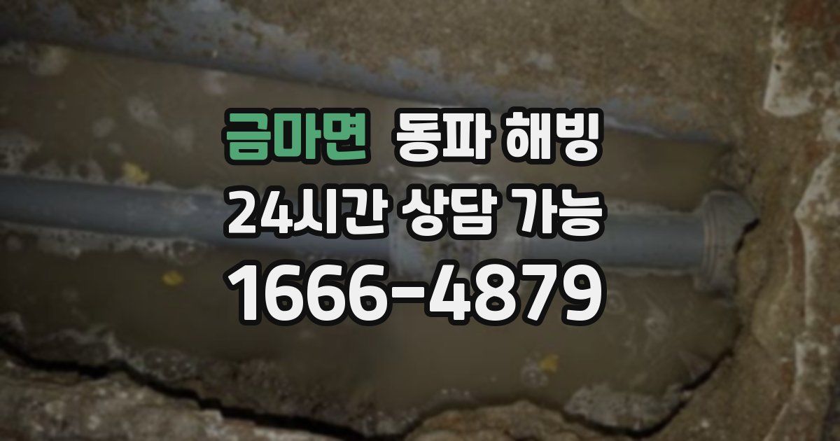 금마면 동파 해빙