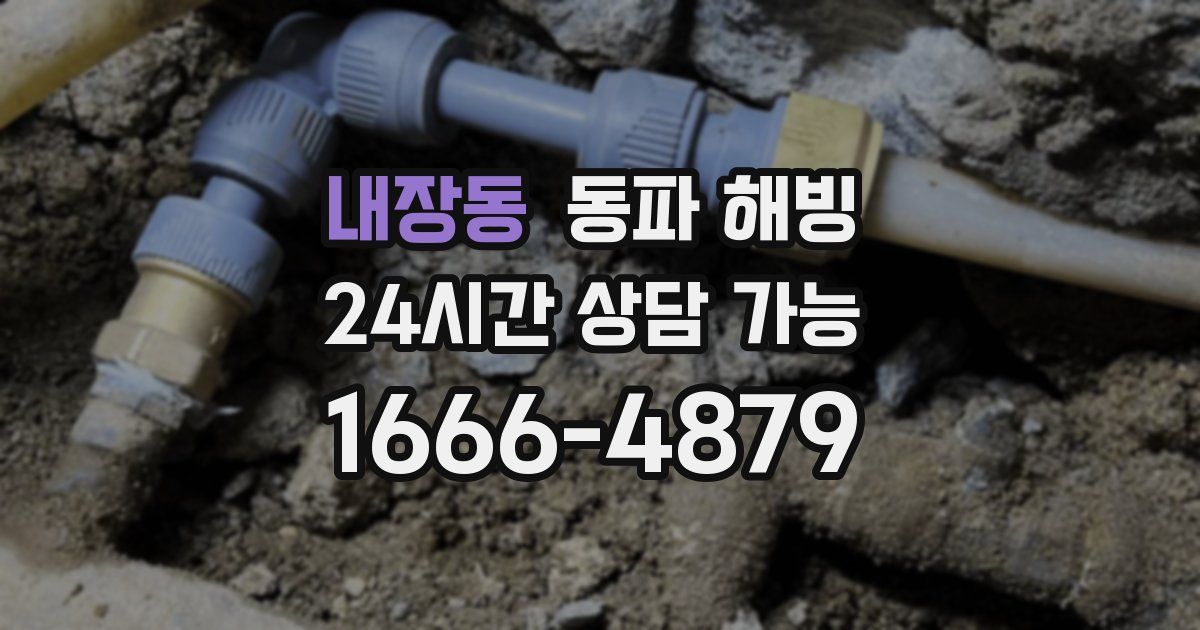 내장동 동파 해빙