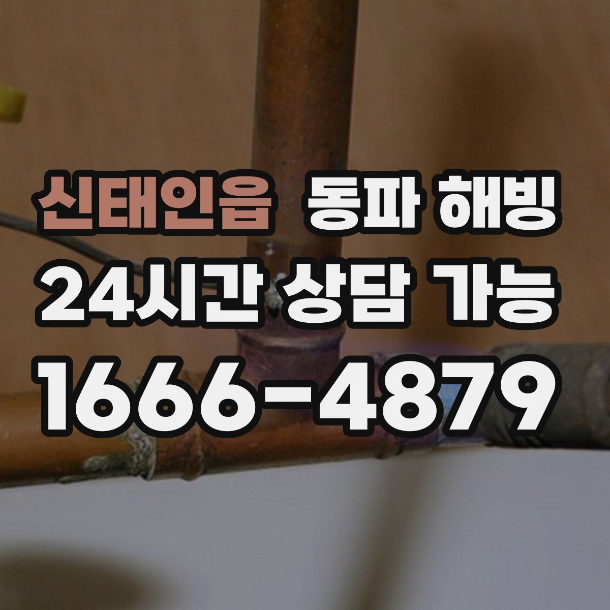신태인읍 해빙