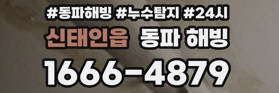 신태인읍 동파