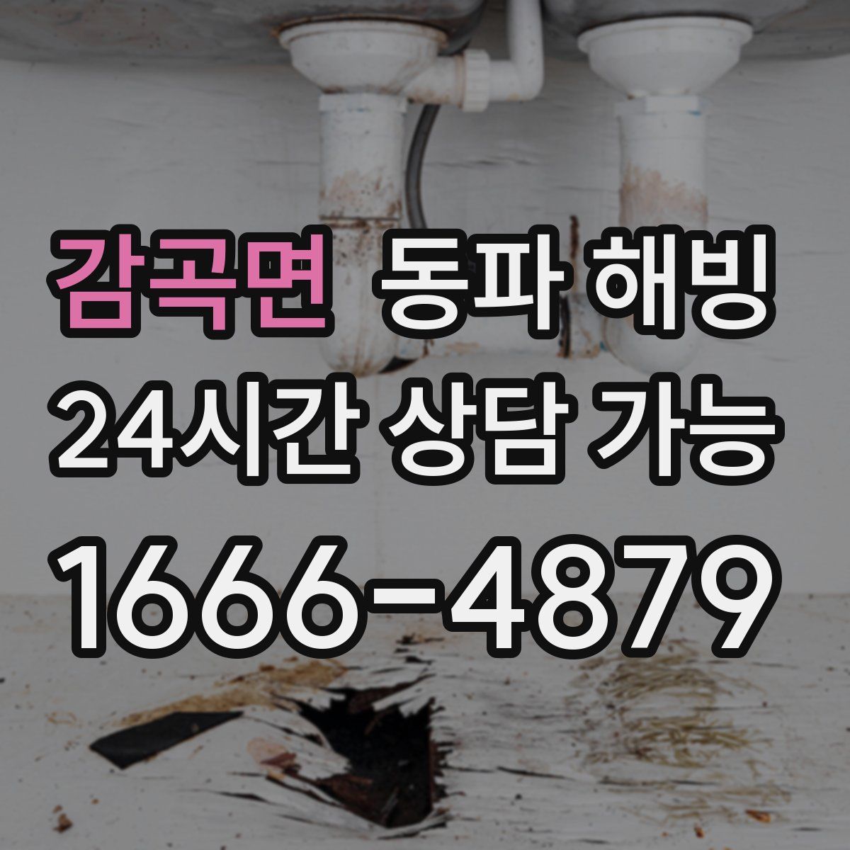 감곡면 해빙