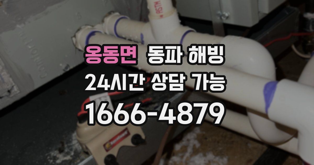 옹동면 동파 해빙