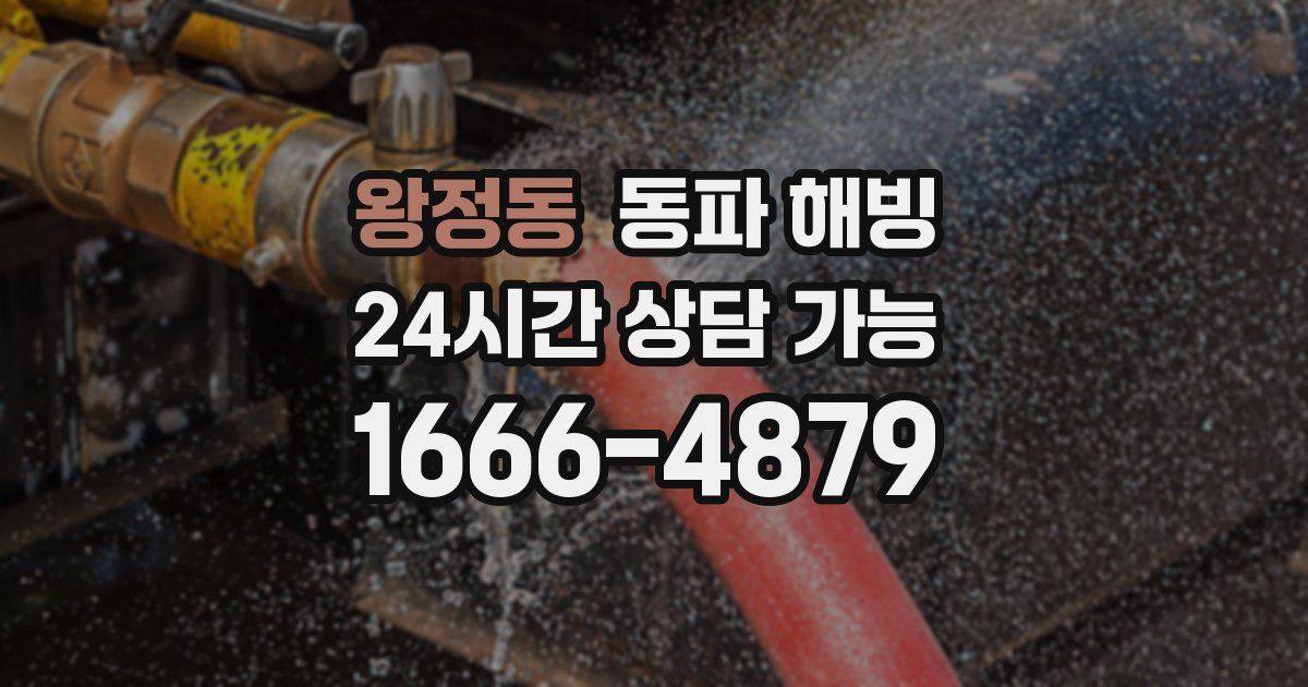 왕정동 동파 해빙