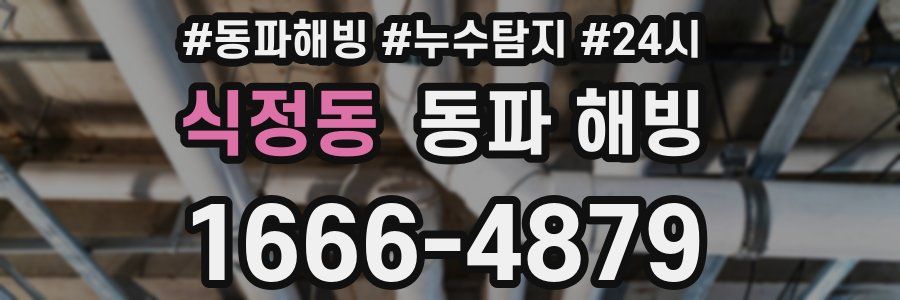 식정동 동파