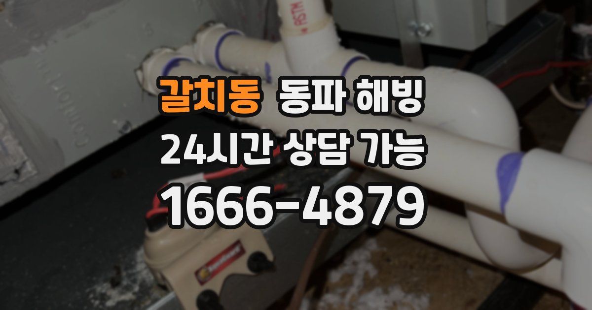 갈치동 동파 해빙