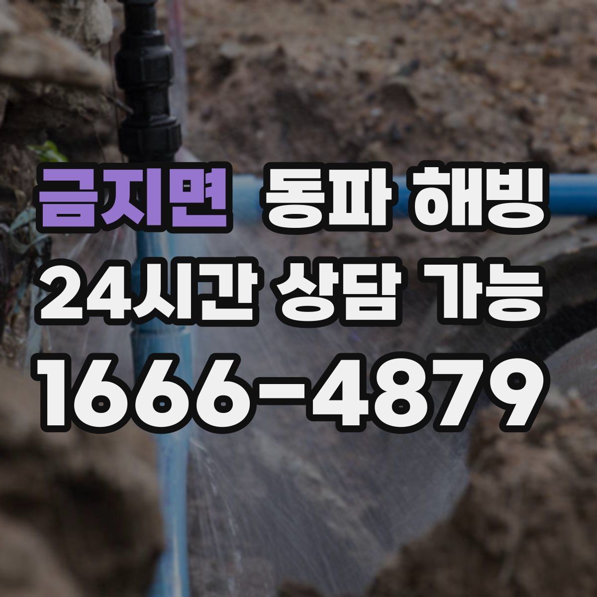 금지면 해빙