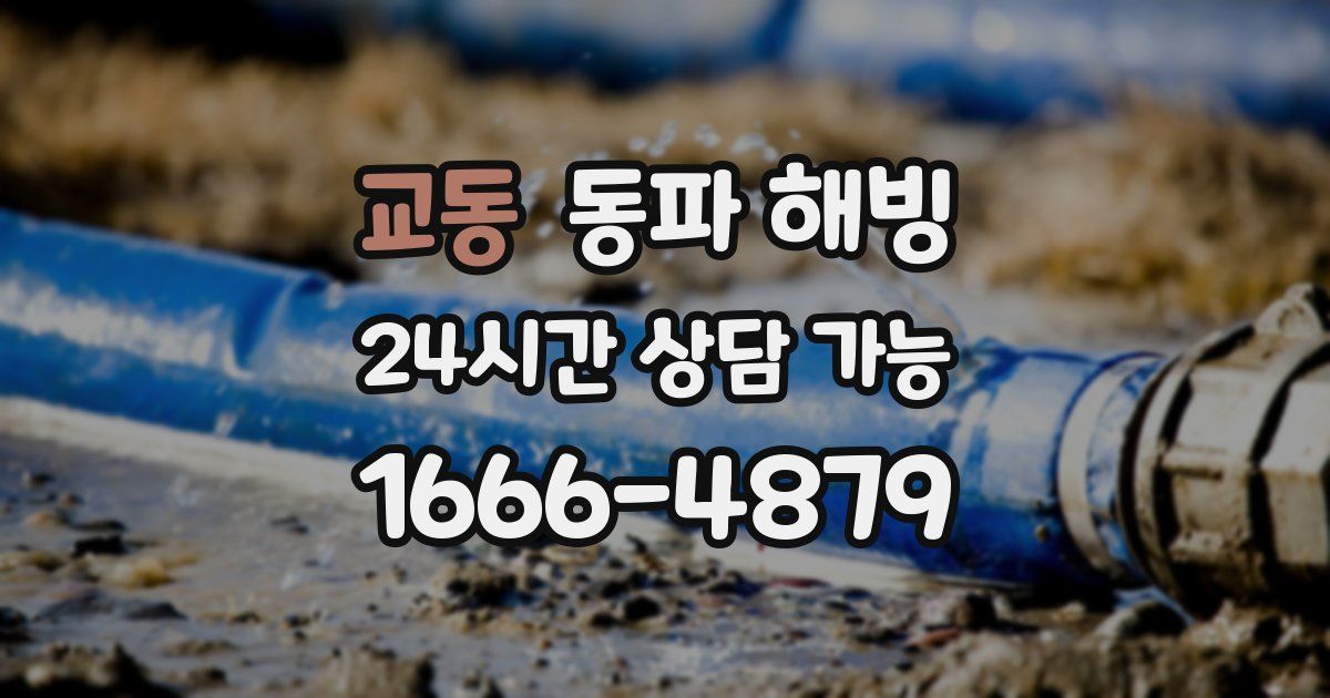 교동 동파 해빙