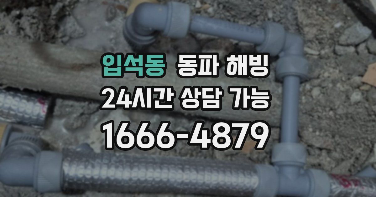 입석동 동파 해빙