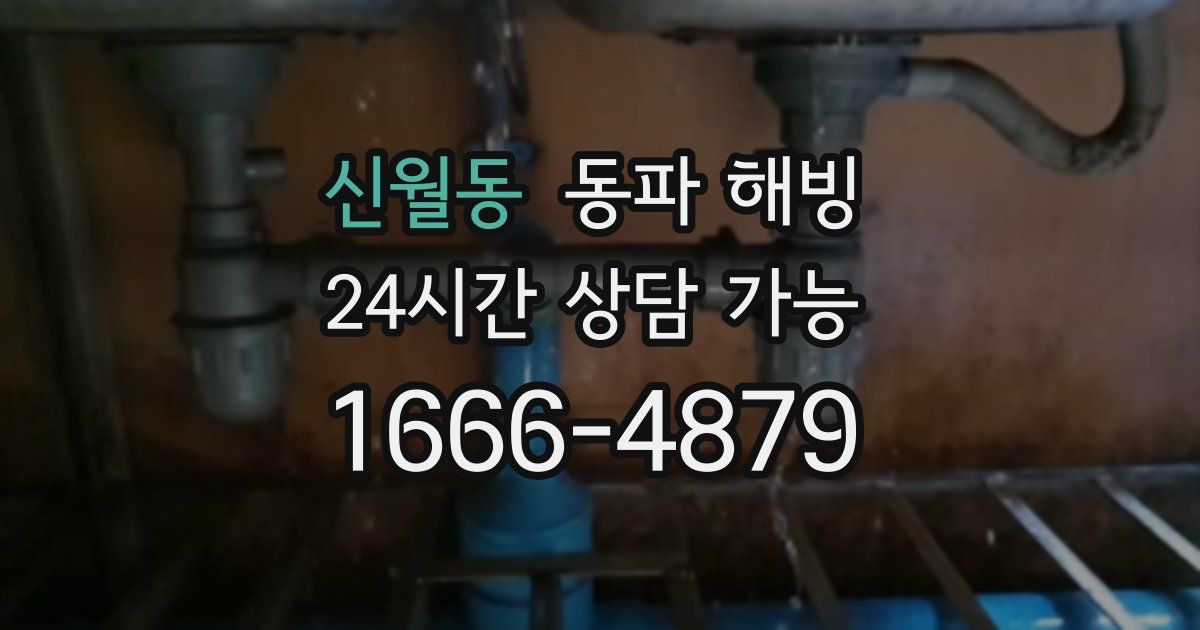 신월동 동파 해빙