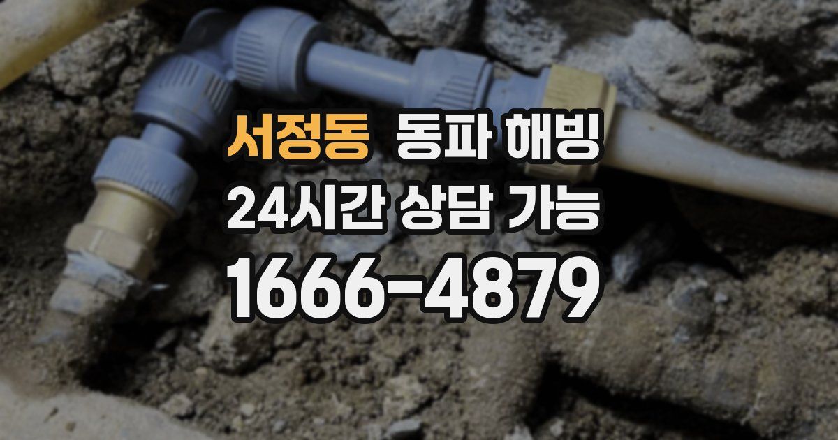 서정동 동파 해빙