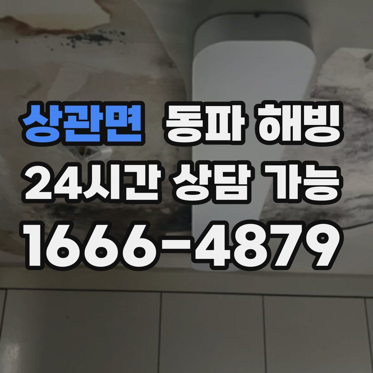 상관면 해빙