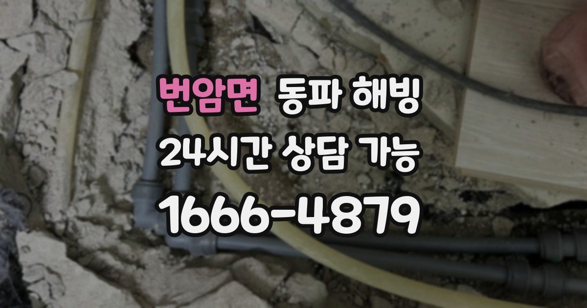 번암면 동파 해빙