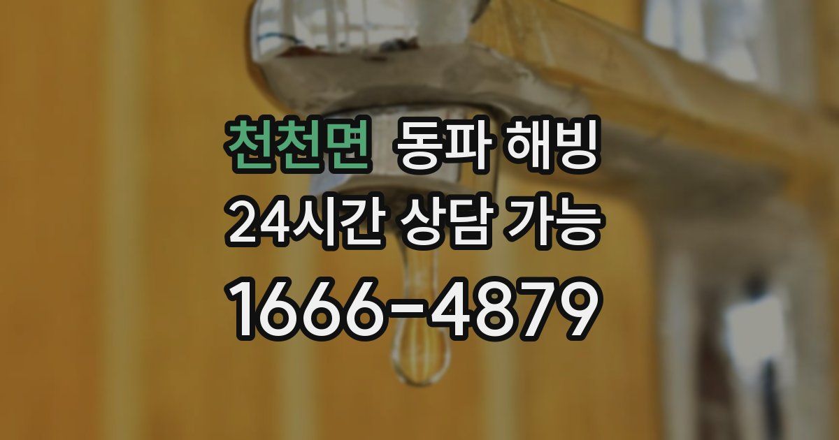 천천면 동파 해빙