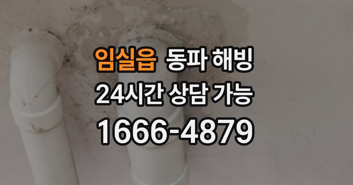 임실읍 동파 해빙