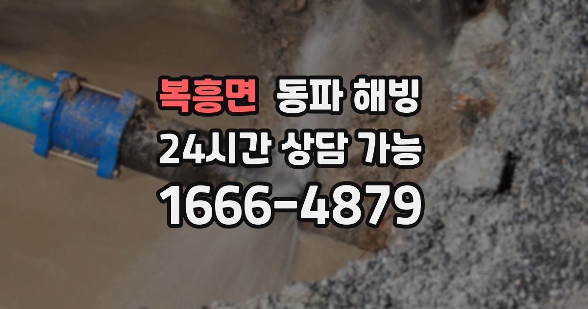 복흥면 동파 해빙