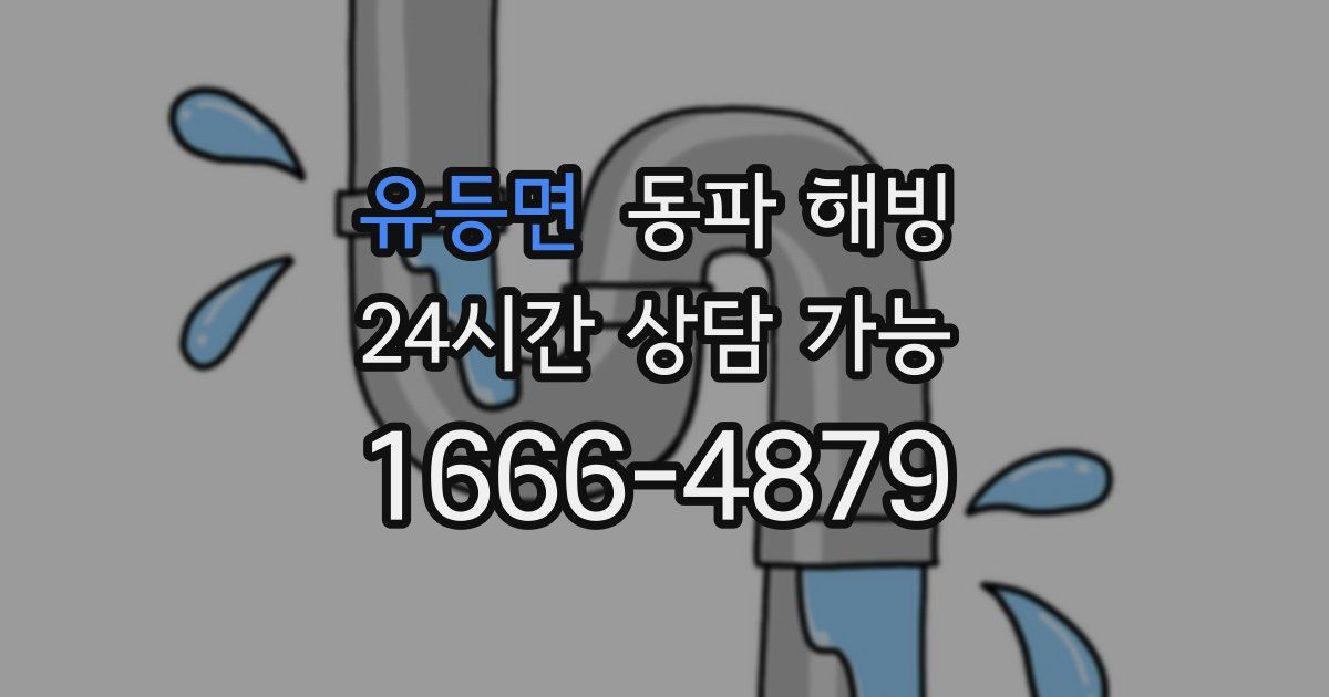 유등면 동파 해빙