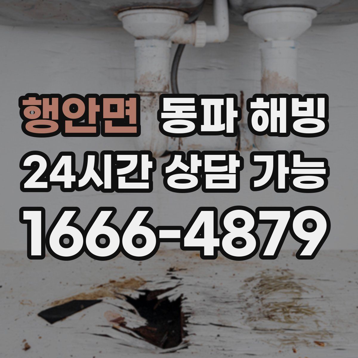 행안면 해빙