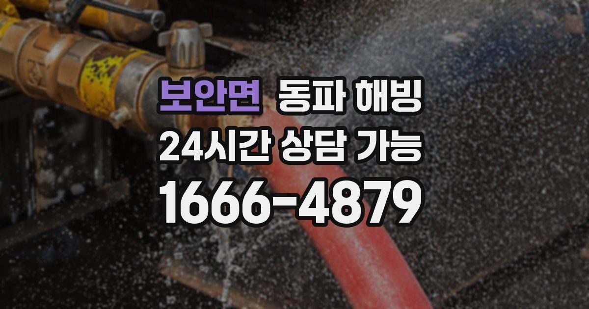 보안면 동파 해빙