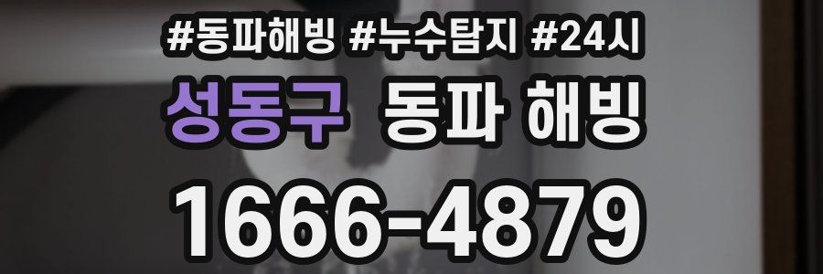 성동구 동파