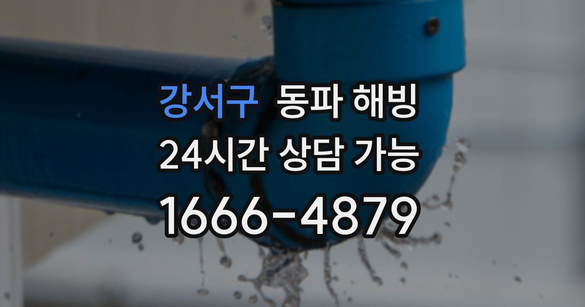 강서구 동파 해빙