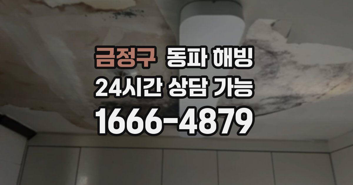 금정구 동파 해빙