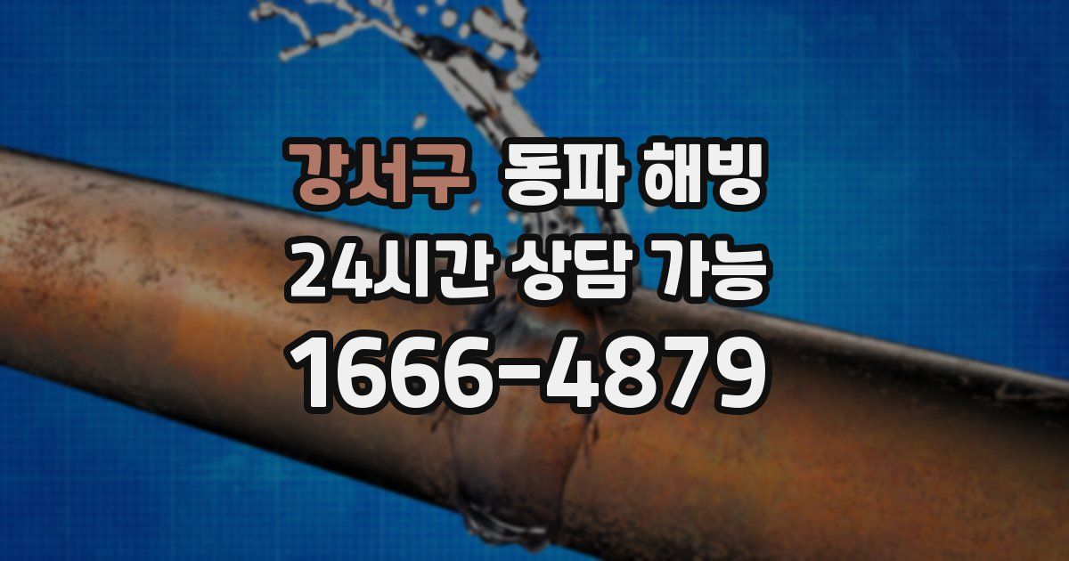 강서구 동파 해빙