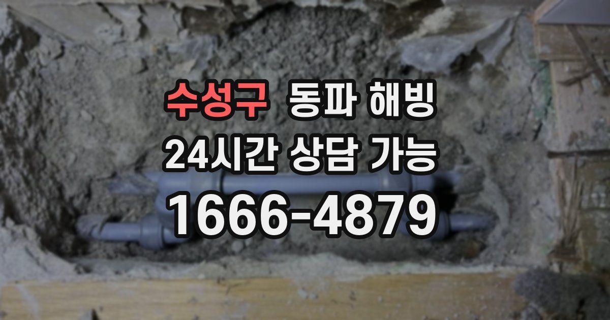 수성구 동파 해빙