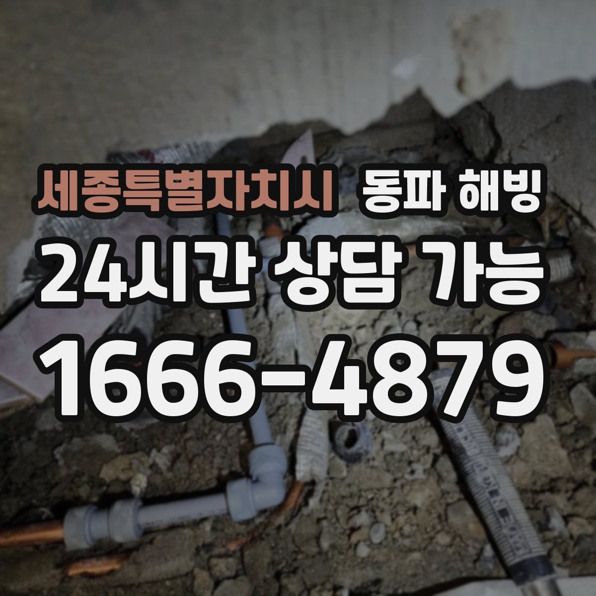 세종특별자치시 해빙