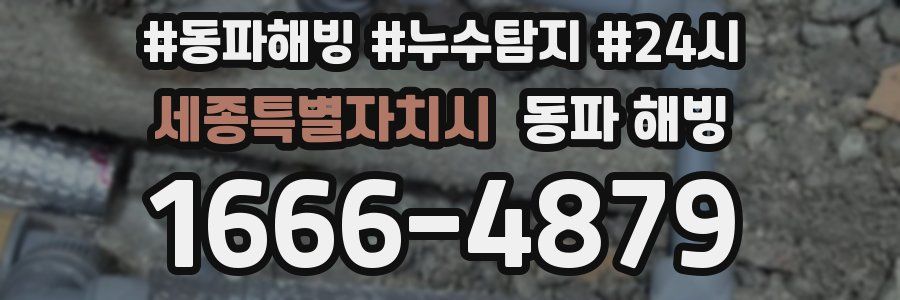 세종특별자치시 동파