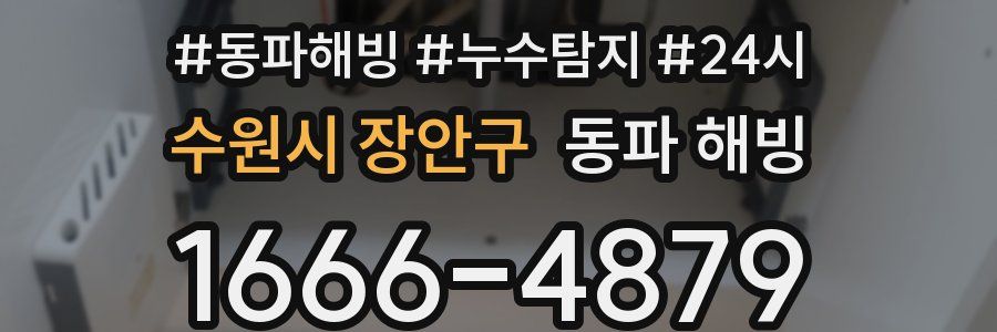 수원시 장안구 동파