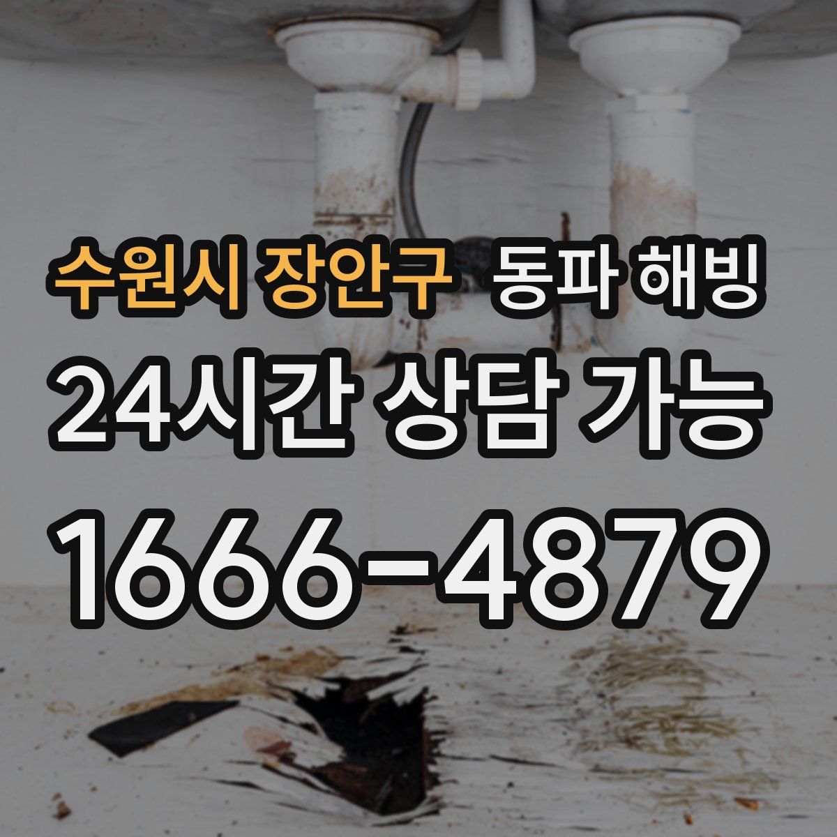 수원시 장안구 해빙