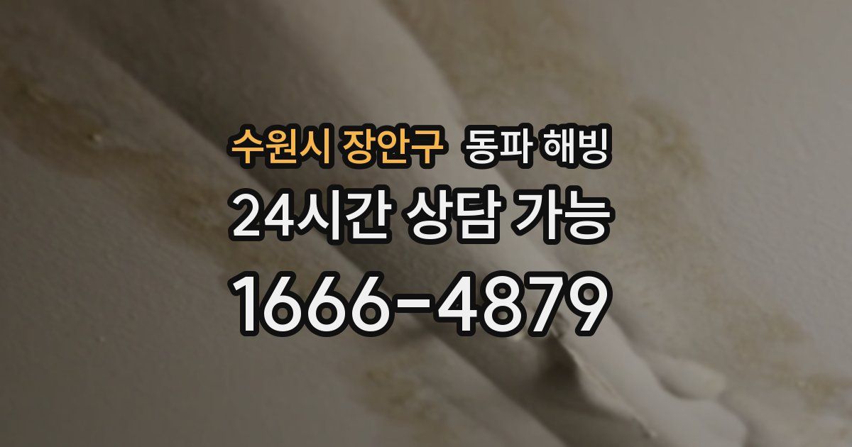 수원시 장안구 동파 해빙