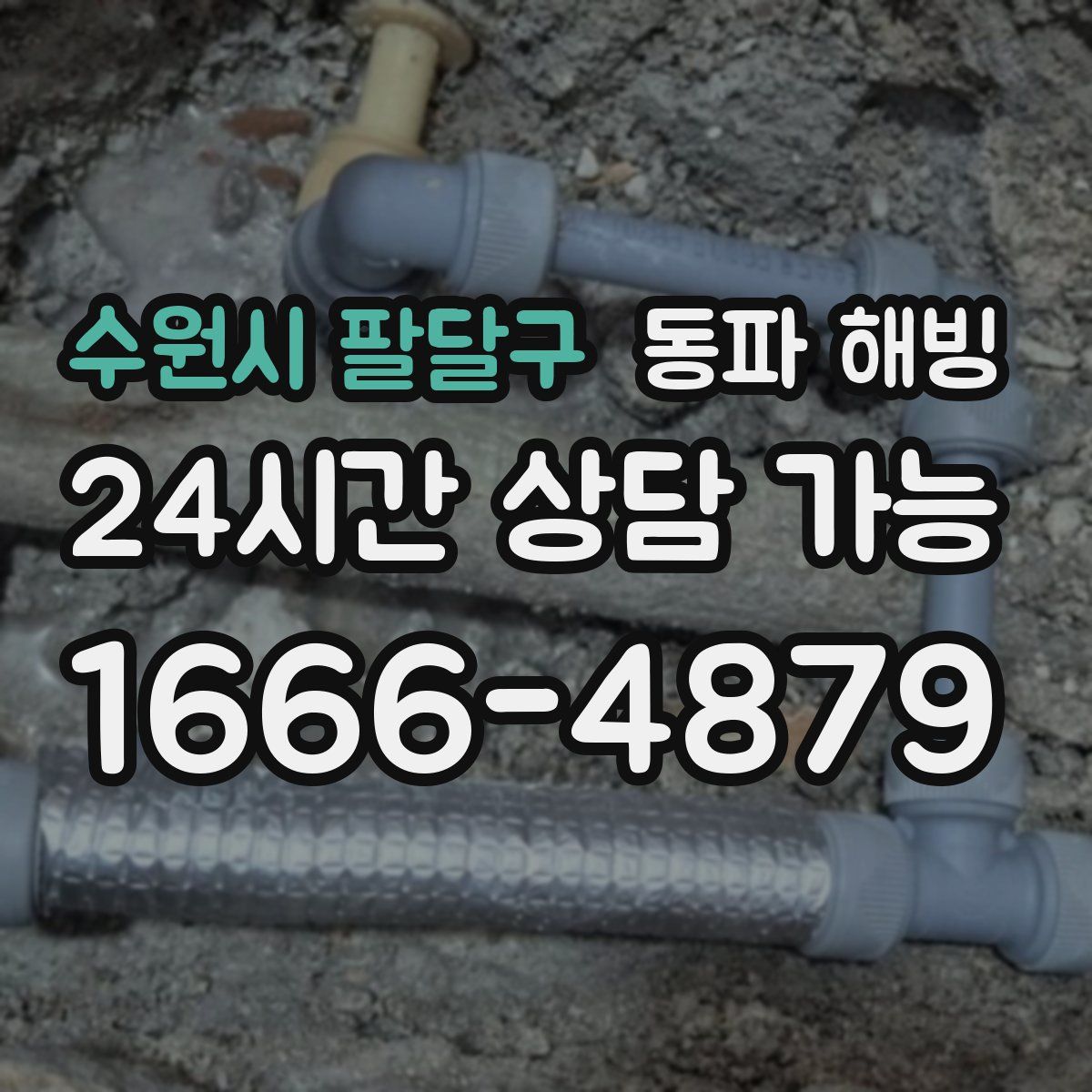 수원시 팔달구 해빙