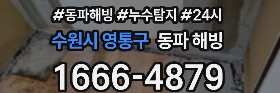 수원시 영통구 동파