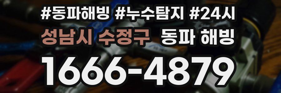 성남시 수정구 동파