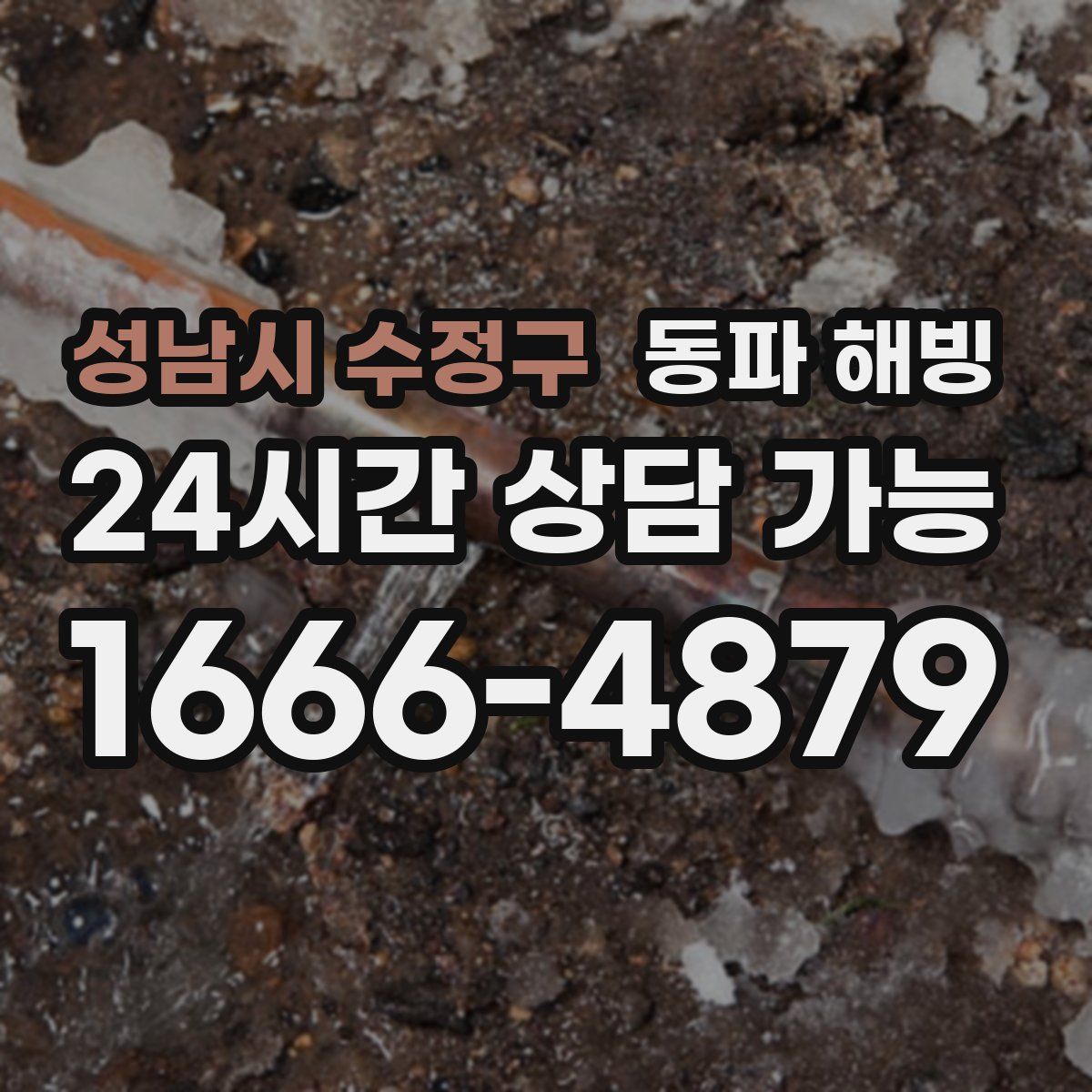 성남시 수정구 해빙