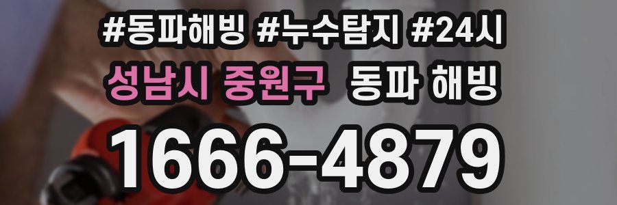 성남시 중원구 동파