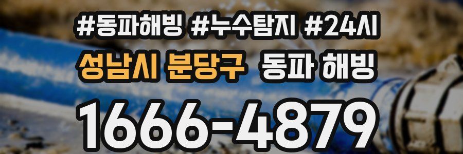 성남시 분당구 동파