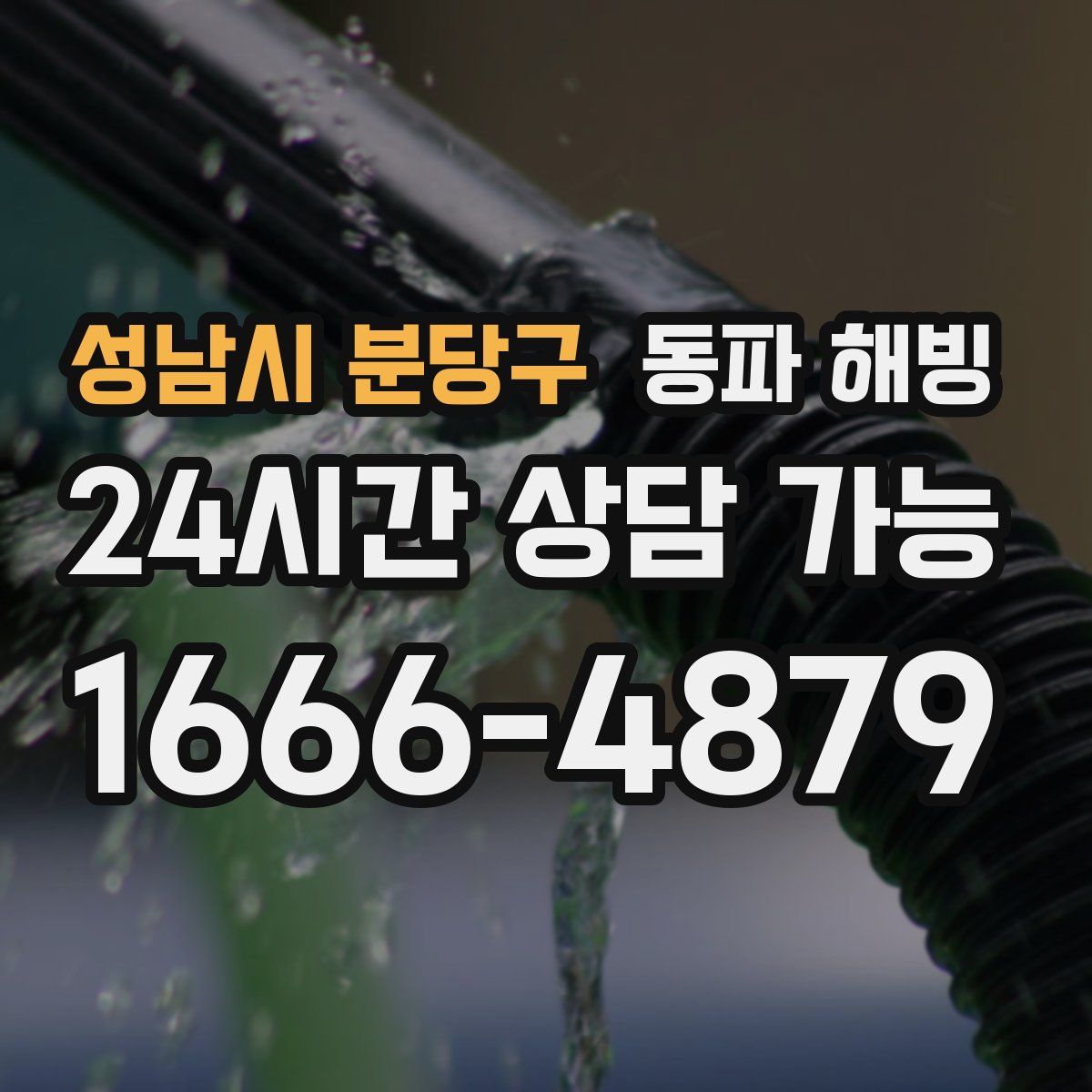 성남시 분당구 해빙