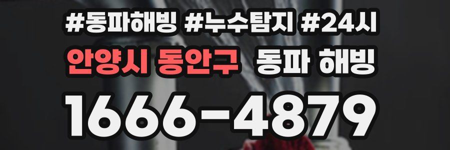 안양시 동안구 동파