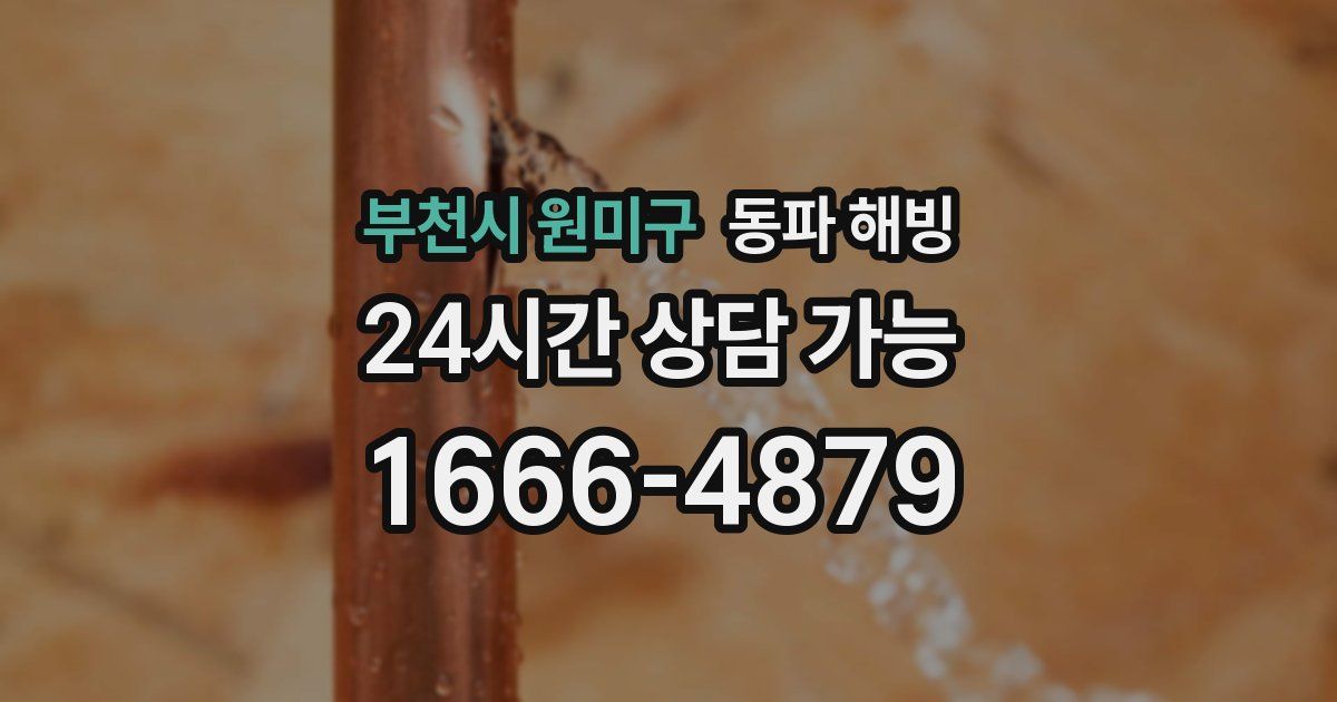 부천시 원미구 동파 해빙