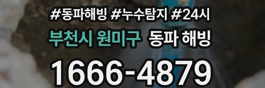 부천시 원미구 동파