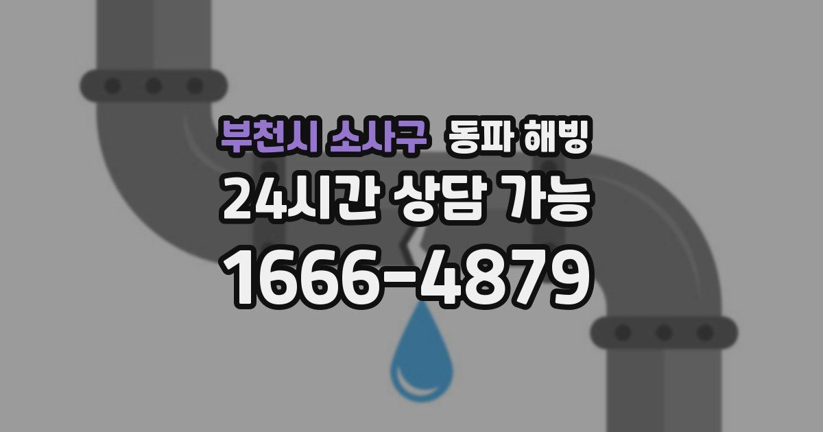 부천시 소사구 동파 해빙