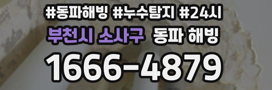 부천시 소사구 동파