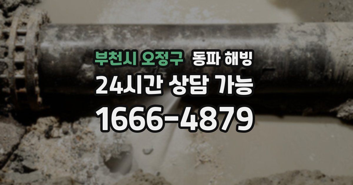 부천시 오정구 동파 해빙