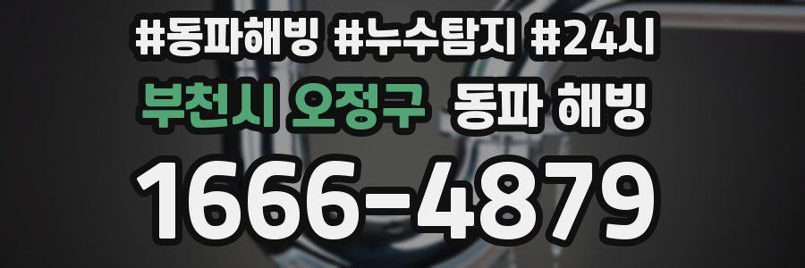 부천시 오정구 동파