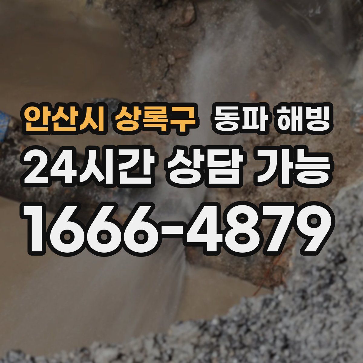 안산시 상록구 해빙