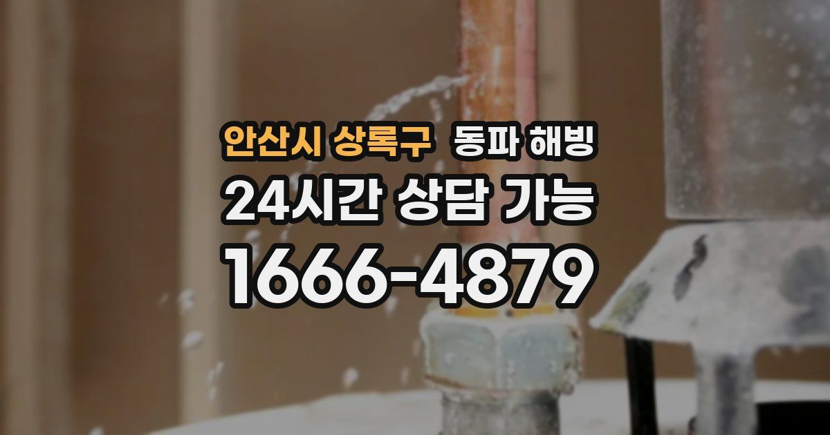 안산시 상록구 동파 해빙