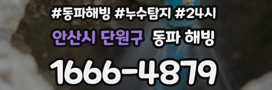 안산시 단원구 동파